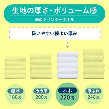 【名入れ】国産白シリンダータオル120枚(のし紙のみ名入れ) レスタス