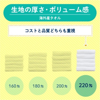 【名入れ】海外産白シリンダー120枚(のし紙のみ名入れ) レスタス