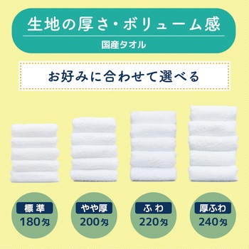 【名入れ】国産白ソフトタオル240枚(のし紙のみ名入れ) レスタス