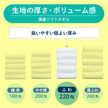 【名入れ】国産白ソフトタオル240枚(のし紙のみ名入れ) レスタス