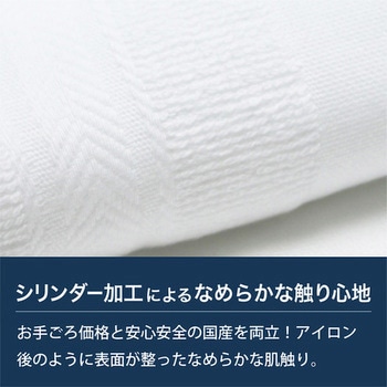 【名入れ】国産白シリンダータオル240枚(のし紙のみ名入れ) レスタス