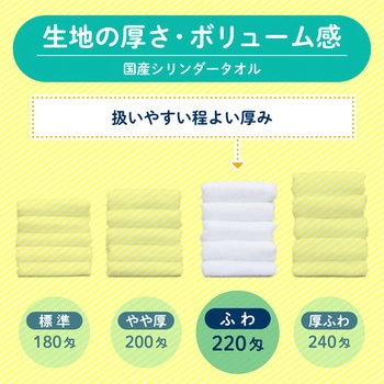 【名入れ】国産白シリンダータオル240枚(のし紙のみ名入れ) レスタス