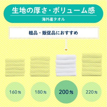 【名入れ】海外産白シリンダー240枚(のし紙のみ名入れ) レスタス