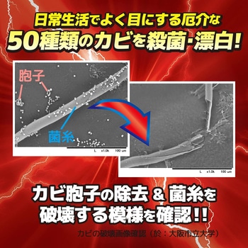 ウルトラハードクリーナー カビ用 リンレイ