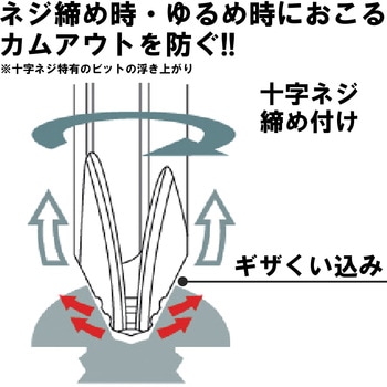 両頭ギザビット ベッセル