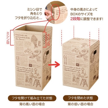 ニュースペーパージャーナルカートン1 HEADS(ヘッズ)