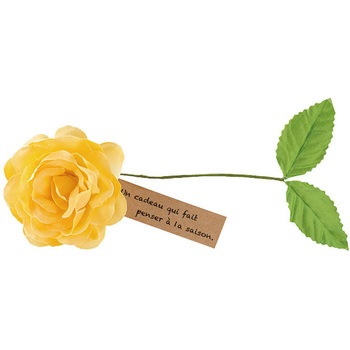 ZL-YM2 [tt[C[M HEADS(wbY) 73540085