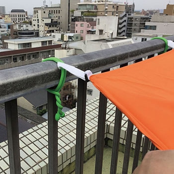 カラフルフリータイ 光