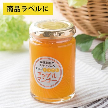 屋外用ラベル シルバーフィルム備品用 ヒサゴ