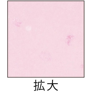 クラッポ和紙 ヒサゴ