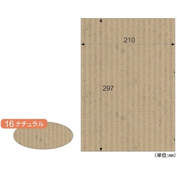 リップルボード ヒサゴ