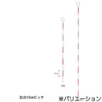 ピンポール ハイビスカス(ランドアート)