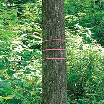 樹木用ビニールテープ ハイビスカス マーキングテープ 【通販モノタロウ】