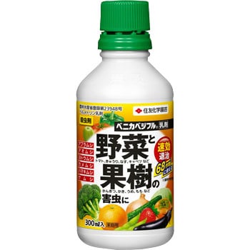 - �x�j�J�׃W�t������ KINCHO���|(��:�Z�F���w���|) 73723518