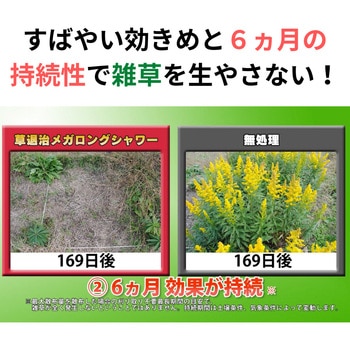 草退治メガロングシャワー 住友化学園芸