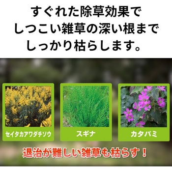 草退治メガロングシャワー 住友化学園芸