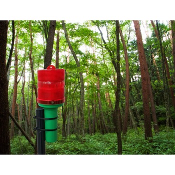 電池式アニマルレッド - ミツギロン