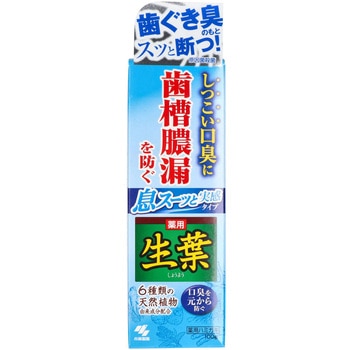 生葉I息スーッと実感 小林製薬