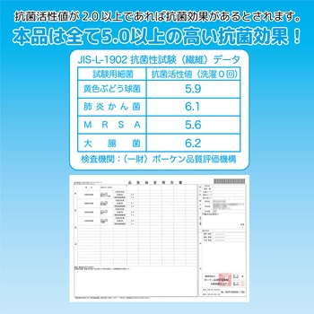 美保Bihou AG抗菌+ダブルフィルタ まっ白なやさしいマスク エスパック