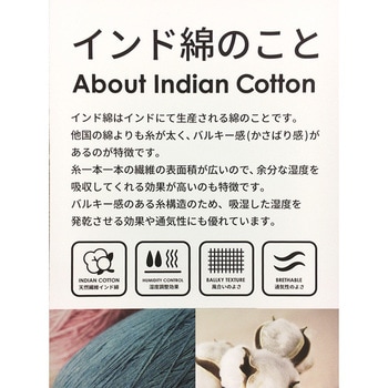 インド綿シートクッション テラ 萩原