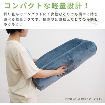 洗えるラグ メレンゲタッチ 萩原