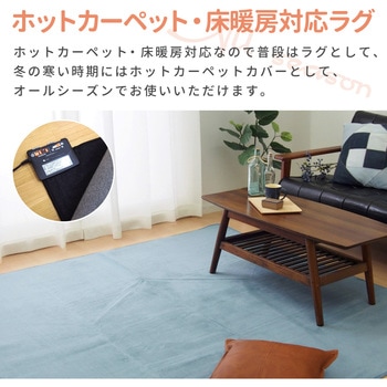 洗えるラグ メレンゲタッチ 萩原