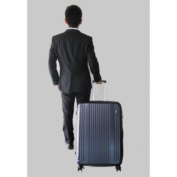 EA927AX-11A 480x300x680mm/91L キャリーケース(シルバー) 1個 エスコ