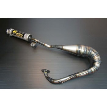 B301 ストリキニーネSR 1個 CHAMELEON FACTORY 【通販モノタロウ】