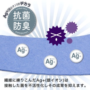 ピタQ 吸着 便座シート LEC(レック)