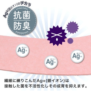 ピタQ 吸着 便座シート LEC(レック)