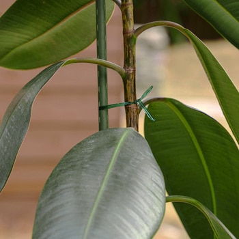 結束ワイヤー 園芸用 ビニール被覆 カッター付 モノタロウ