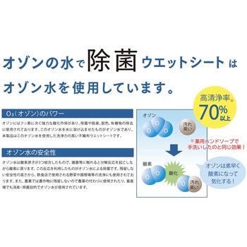 TEF0053 テフキーO3「オゾンの水で除菌ウェットシート」 アステップ