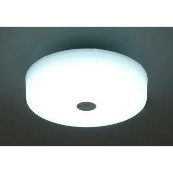 SCL20DMS-HL ���^�V�[�����O���C�g �l���Z���T�[�t �A�C���X�I�[���} 74032306