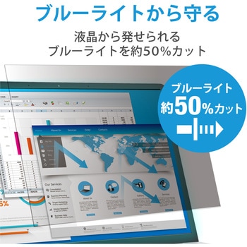 液晶保護フィルター のぞき見防止 プライバシーフィルター 抗菌 ブルーライトカット 帯電防止仕様 - エレコム