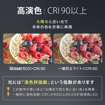 wasser_downlight603LED スプリング式ダウンライト 90 ～ 100Φ 埋め込み 白色 ホワイト (4000K) 大河商事