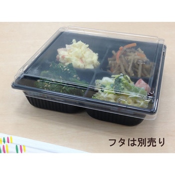 SDキャセロ 身 中央化学