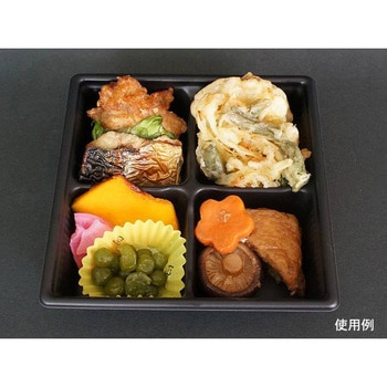 SDキャセロ 身 中央化学