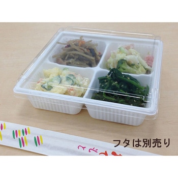 SDキャセロ 身 中央化学