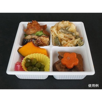 SDキャセロ 身 中央化学