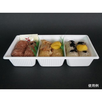 SDキャセロ 身 中央化学