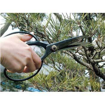 N-703 木助 植木鋏 1個 ニシガキ工業 【通販モノタロウ】