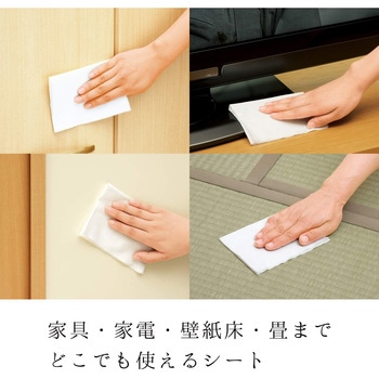 激落ちどこでもウェットシート LEC(レック)