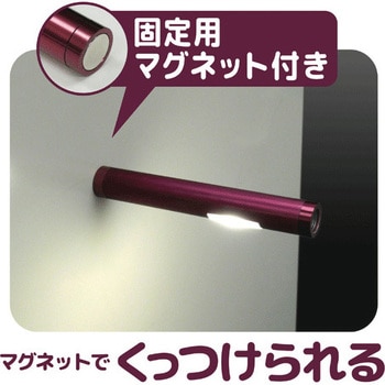 はなれてパッと!ライトW コンテック