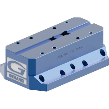 コンパクトGバイス T3用ライザー ジェラルディ