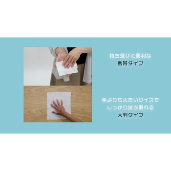 除菌薬液たっぷりウェットワイパー大判 30枚 TRUSCO