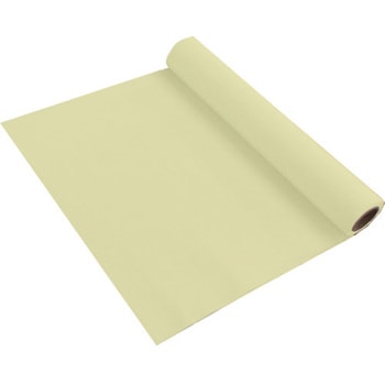 TS-TFREC10220NYE �s�R�F�藼�ʉ��r�R�[�e�B���O�V�[�g �e�n�V�[�g �h�� ���[���^�C�v 74157519