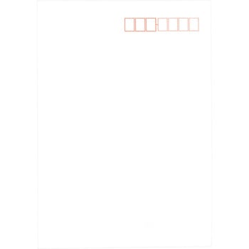 洋形2号 ミューズコットン キングコーポレーション