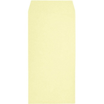 192019 プライバシー保護封筒 Hiソフトカラー 折り畳み キングコーポレーション 74159944