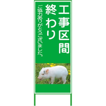 カラーイラストSL グリーンクロス