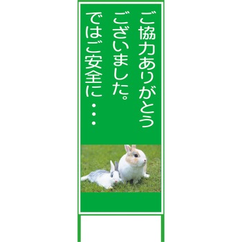 カラーイラストSL グリーンクロス